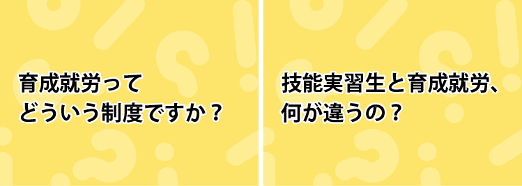 育成就労ってどういう制度ですか？育成就労と技能実習生、何が違うの？